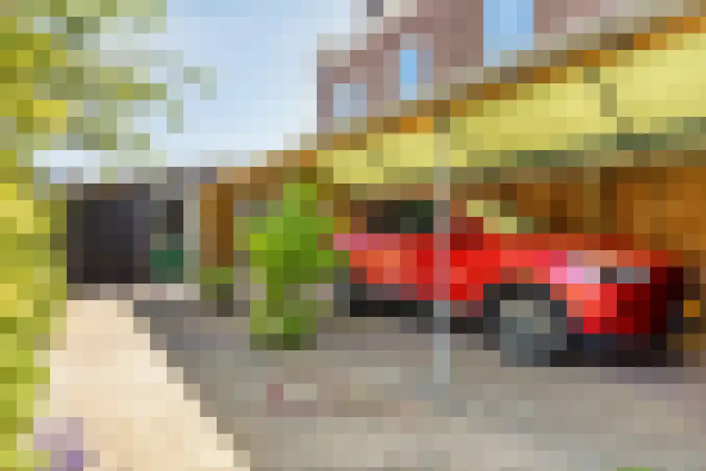 van Hattumstraat 3 Ellewoutsdijk thumbnail 62