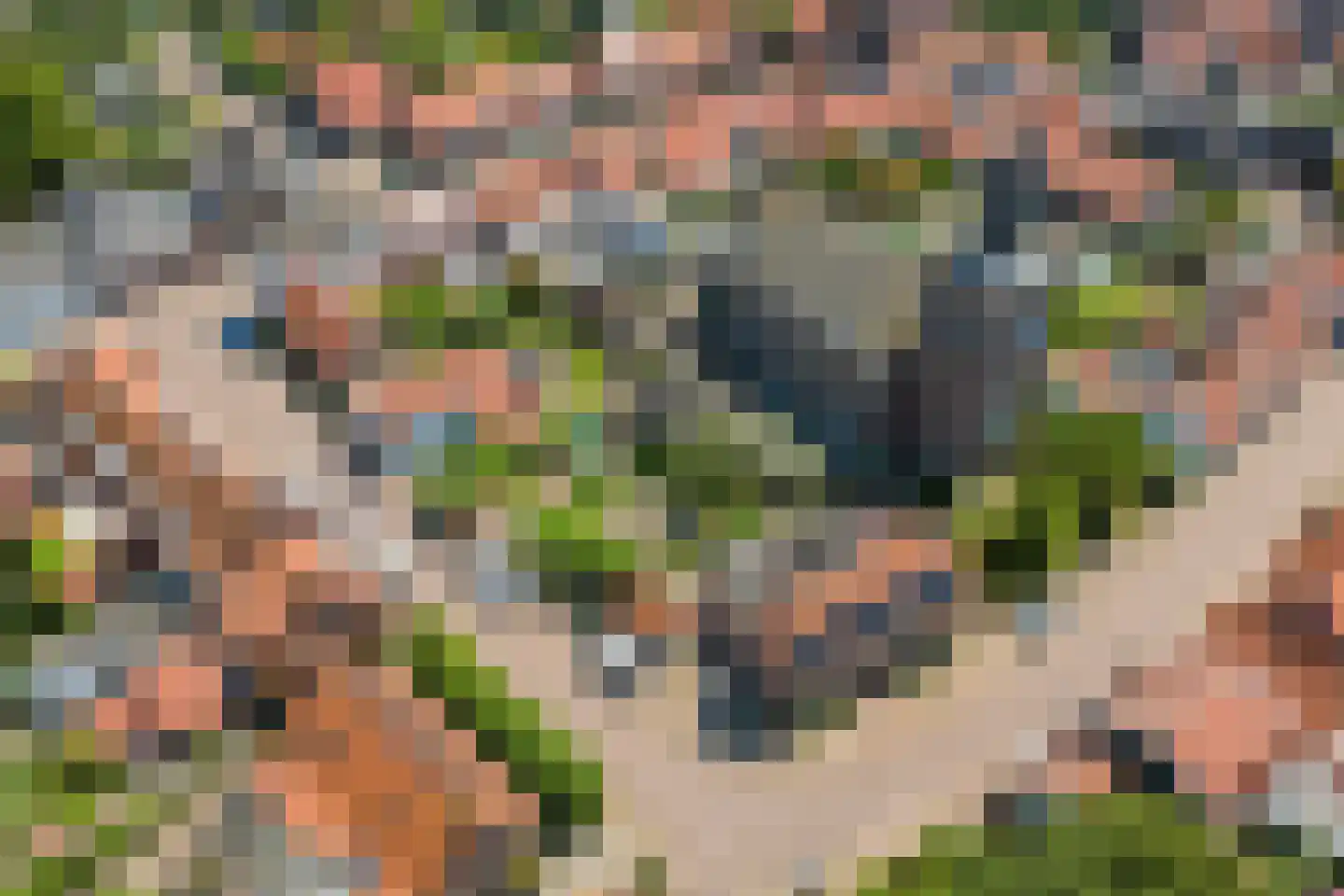 van Hattumstraat 3 Ellewoutsdijk thumbnail 63