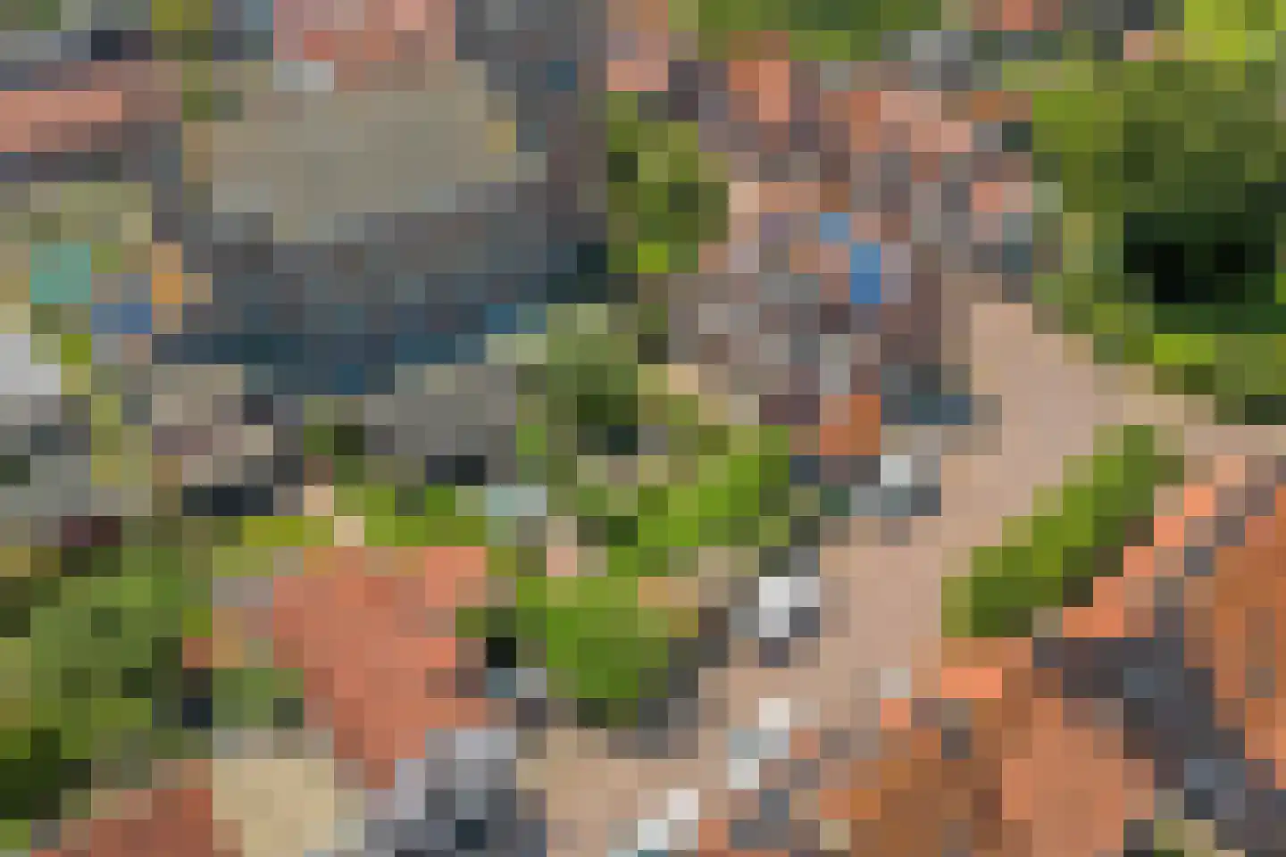 van Hattumstraat 3 Ellewoutsdijk thumbnail 64