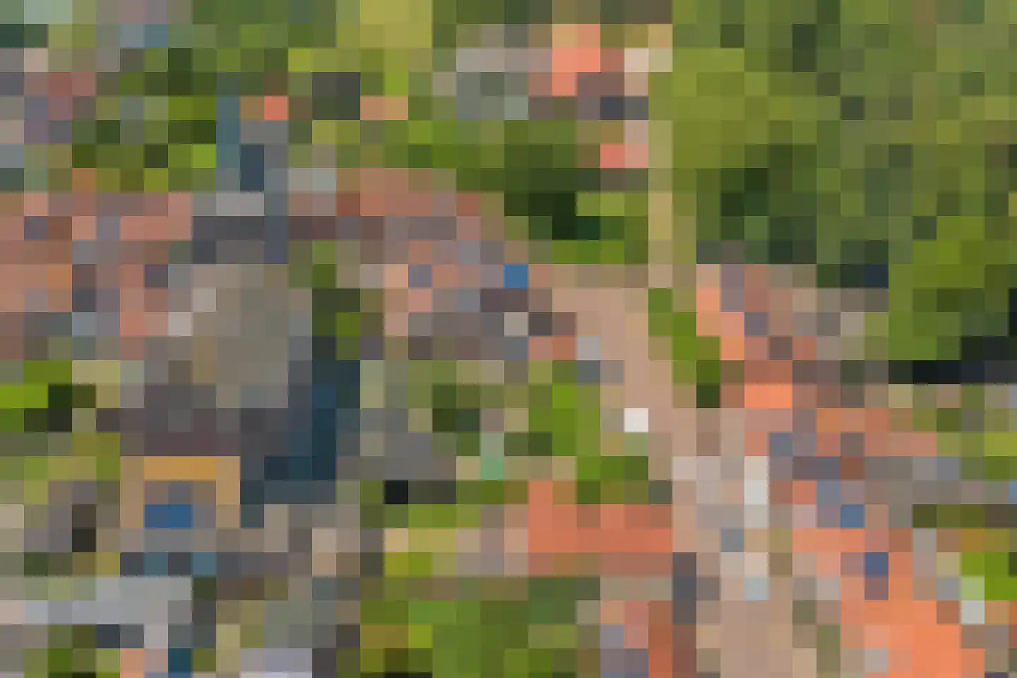 van Hattumstraat 3 Ellewoutsdijk thumbnail 65