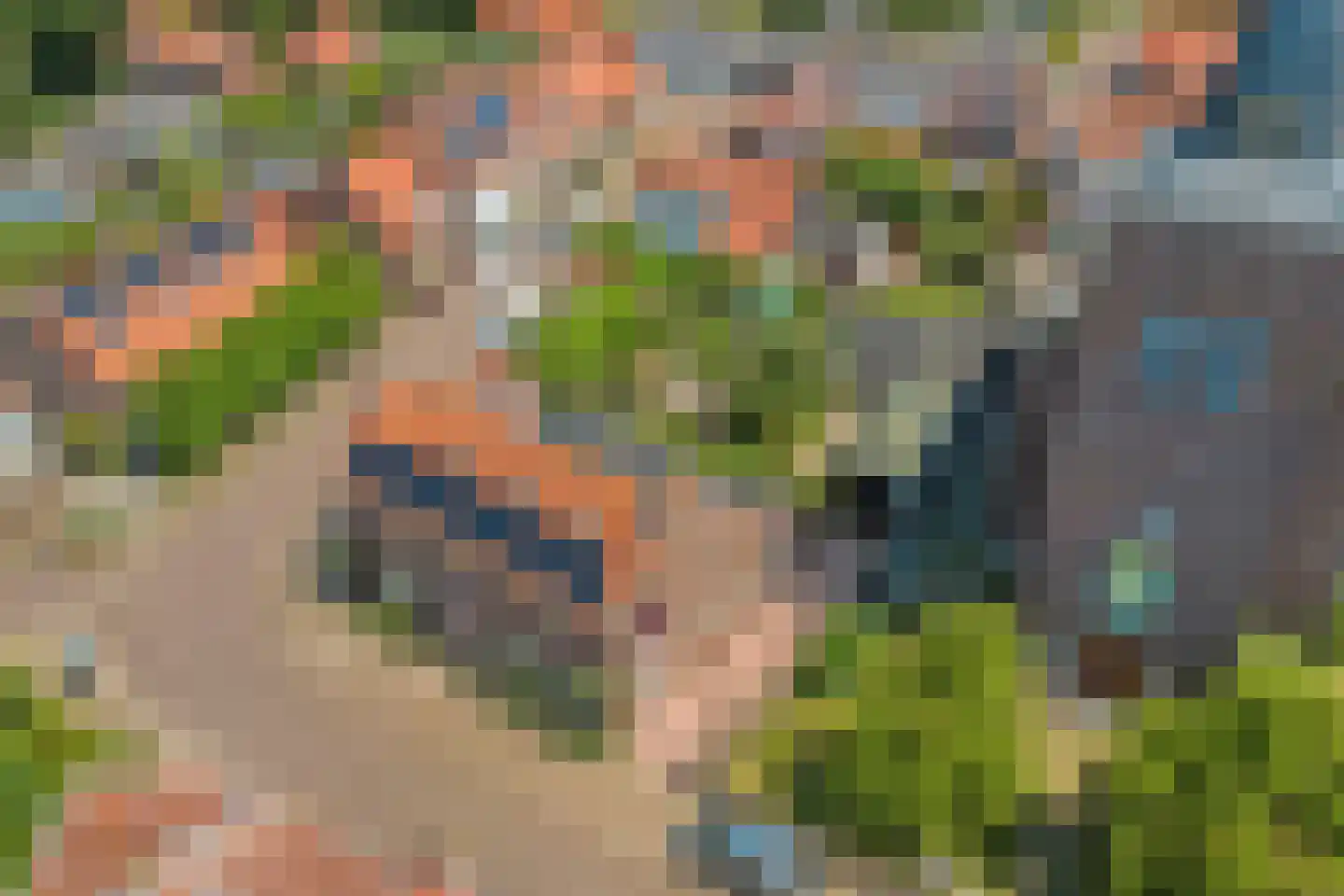 van Hattumstraat 3 Ellewoutsdijk thumbnail 66