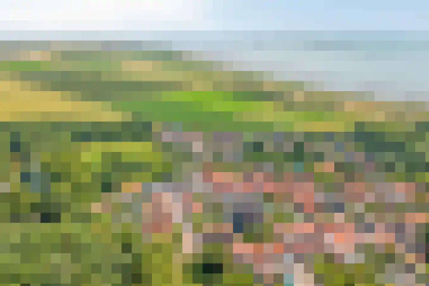 van Hattumstraat 3 Ellewoutsdijk thumbnail 69