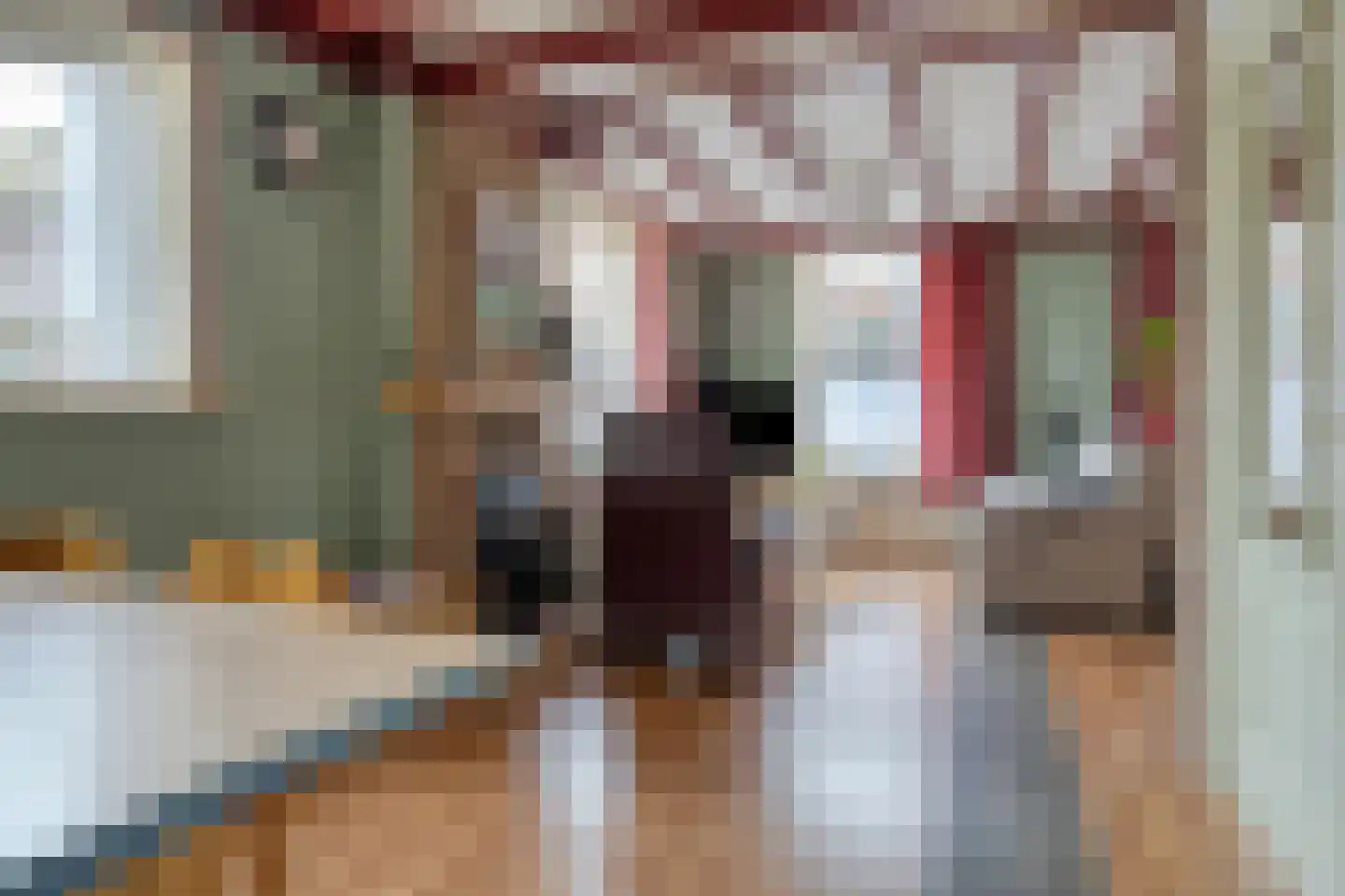van Hattumstraat 3 Ellewoutsdijk thumbnail 8