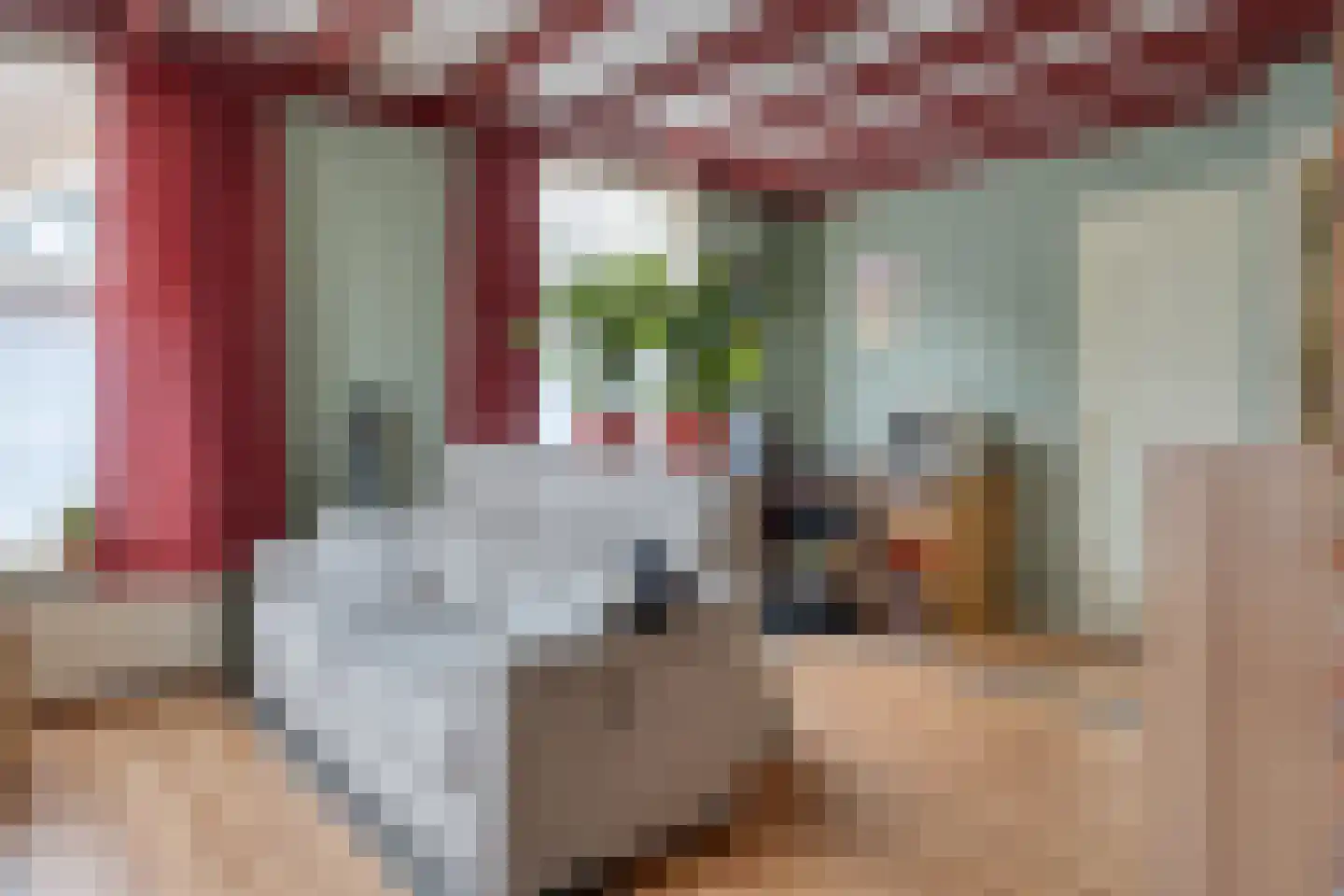 van Hattumstraat 3 Ellewoutsdijk thumbnail 9