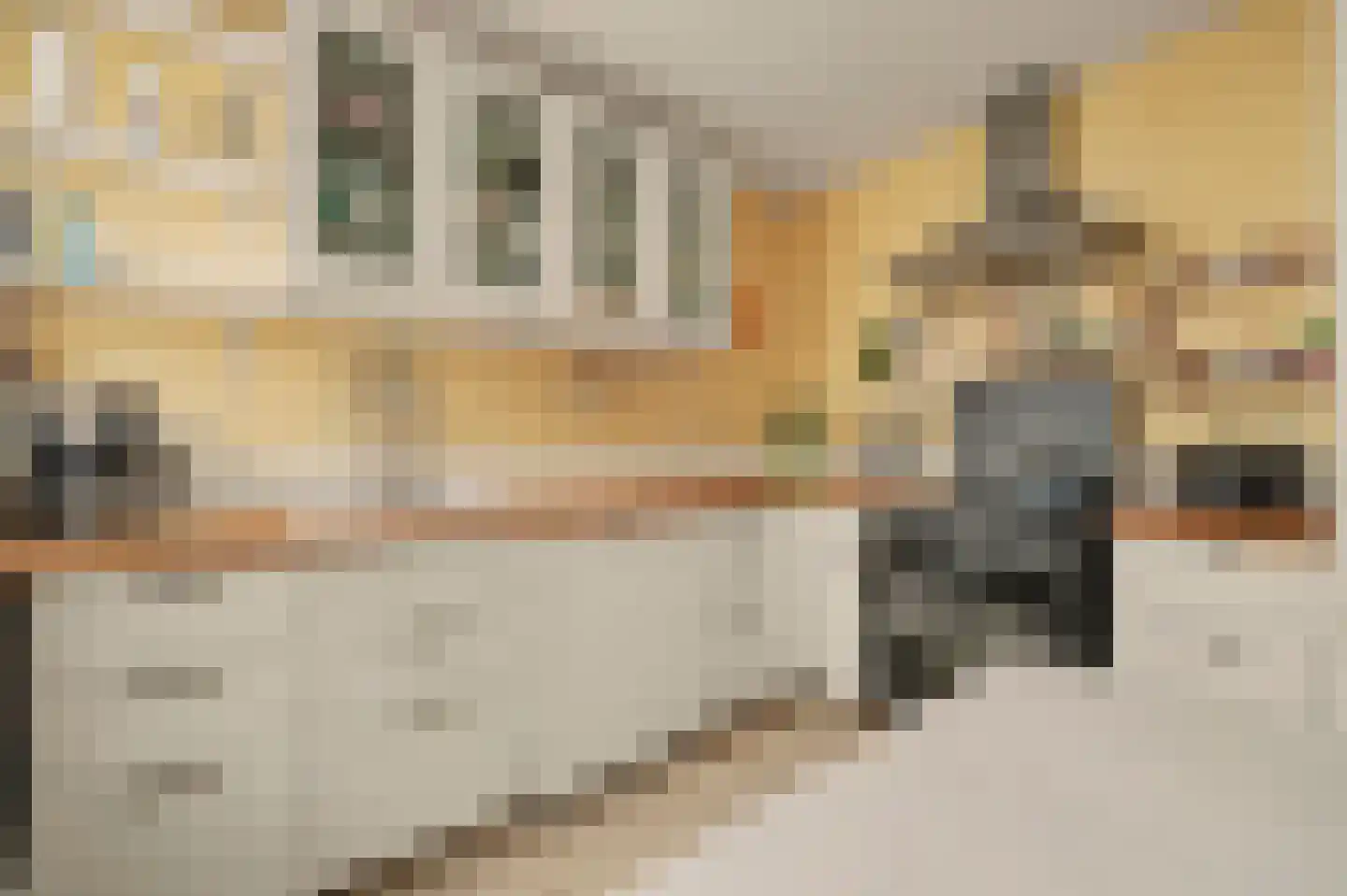 van Hattumstraat 6 Ellewoutsdijk thumbnail 13