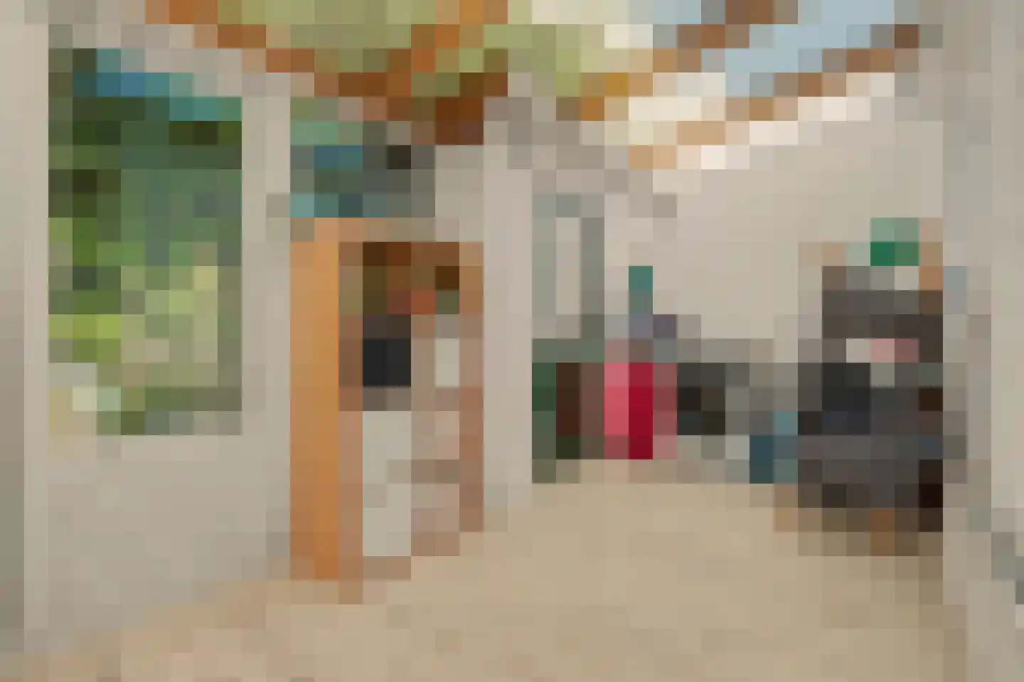 van Hattumstraat 6 Ellewoutsdijk thumbnail 16