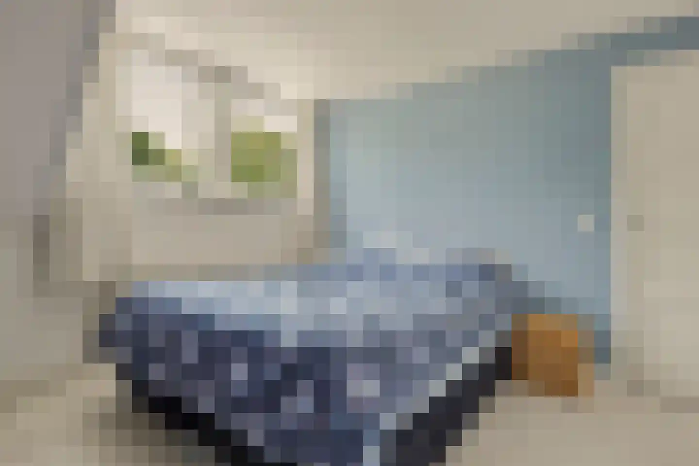 van Hattumstraat 6 Ellewoutsdijk thumbnail 17