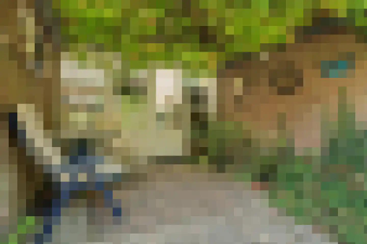 van Hattumstraat 6 Ellewoutsdijk thumbnail 23