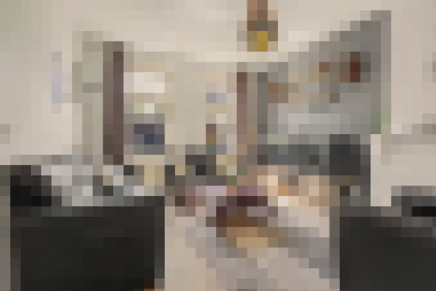 van Hattumstraat 6 Ellewoutsdijk thumbnail 8