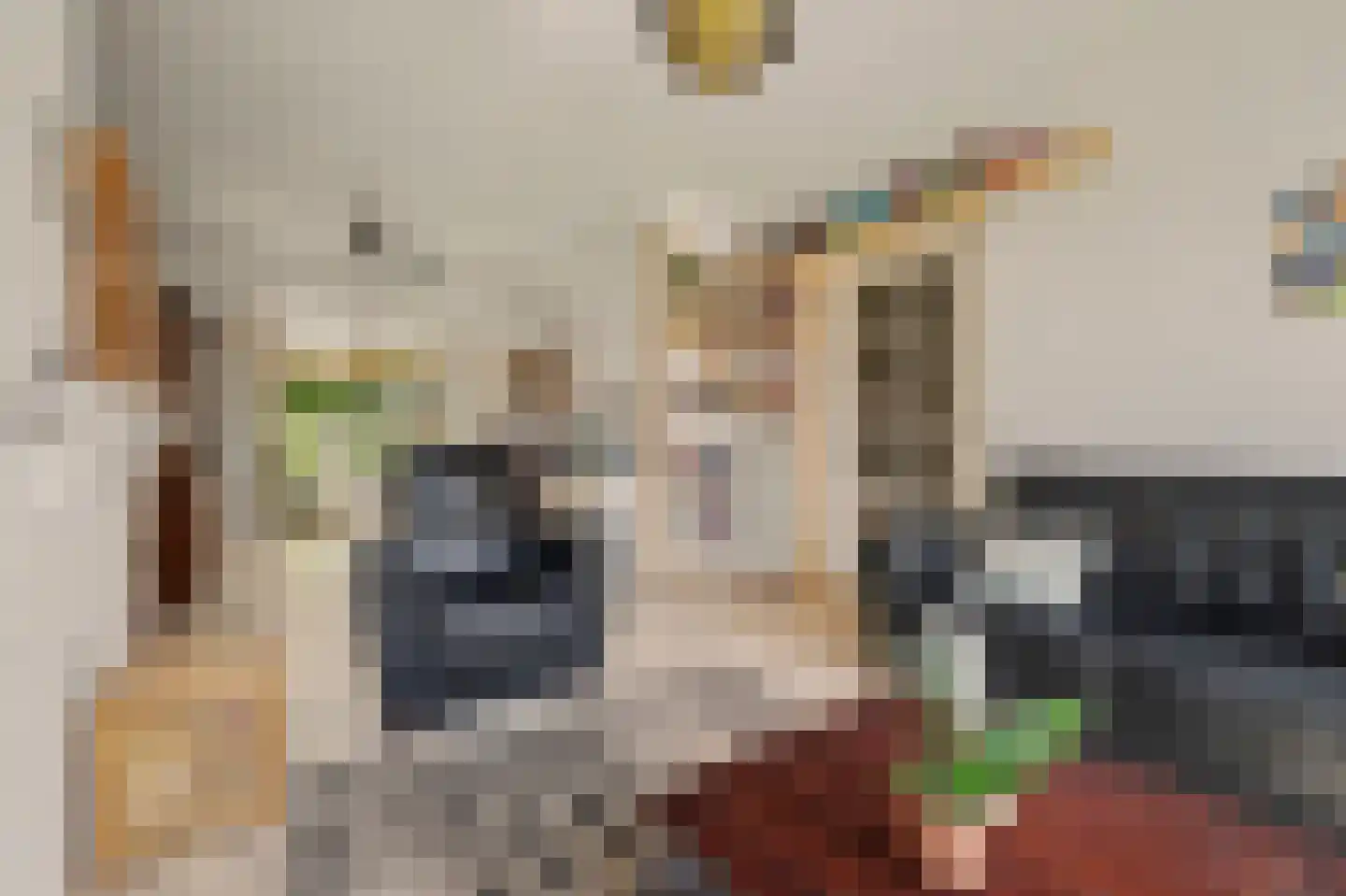 van Hattumstraat 6 Ellewoutsdijk thumbnail 9