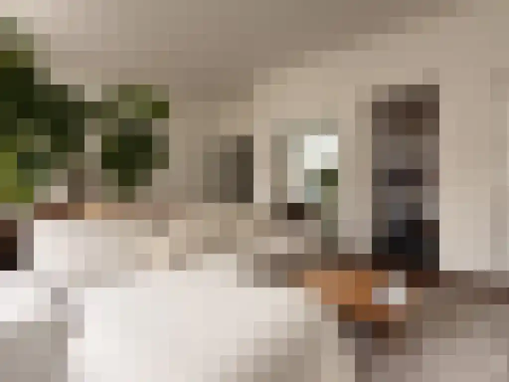 Van Hattumstraat 6 Zwolle thumbnail 6