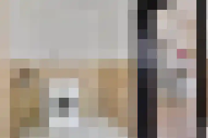 van Hattumstraat 7 Ellewoutsdijk thumbnail 17