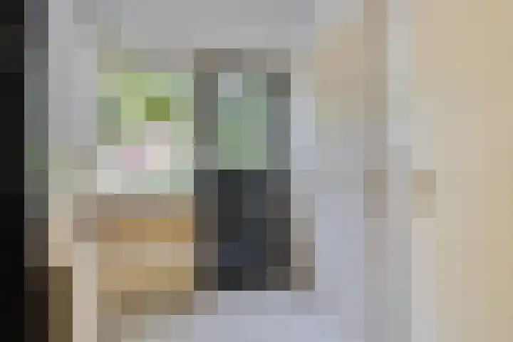 van Hattumstraat 7 Ellewoutsdijk thumbnail 18