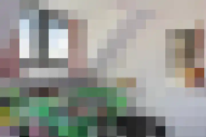 van Hattumstraat 7 Ellewoutsdijk thumbnail 21