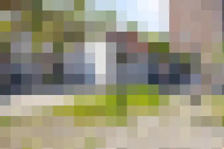 van Hattumstraat 7 Ellewoutsdijk thumbnail 24