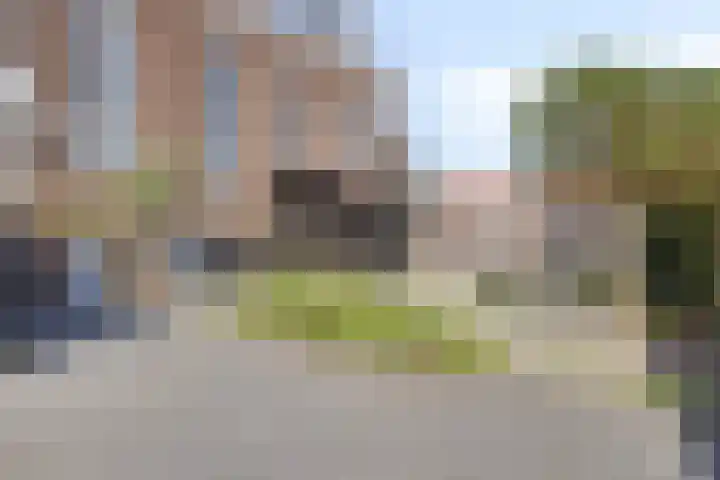 van Hattumstraat 7 Ellewoutsdijk thumbnail 25
