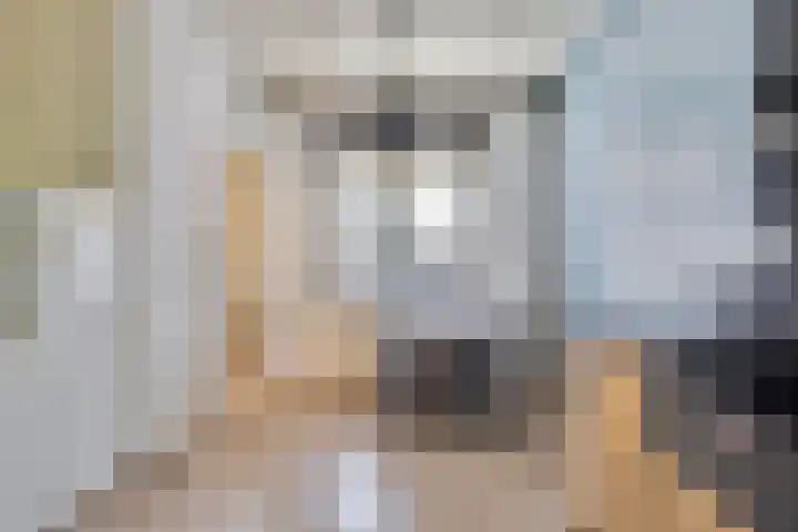 van Hattumstraat 7 Ellewoutsdijk thumbnail 7