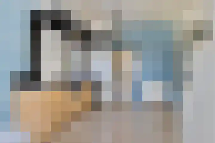 van Hattumstraat 7 Ellewoutsdijk thumbnail 9