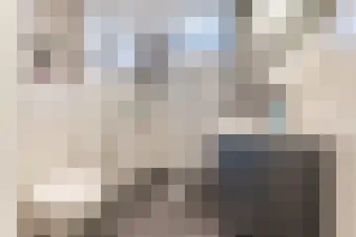 Van Heeckerenlaan 20 Ruurlo thumbnail 21