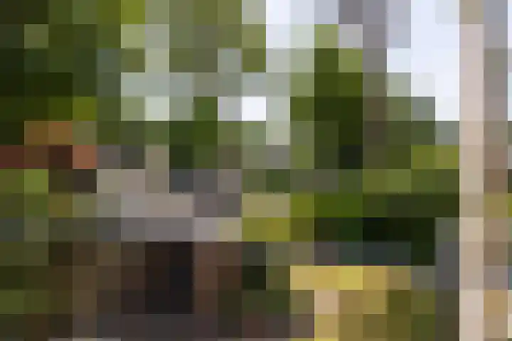 van Heeckerenlaan 7 Driebergen-Rijsenburg thumbnail 17