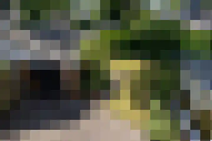 van Heeckerenlaan 7 Driebergen-Rijsenburg thumbnail 18