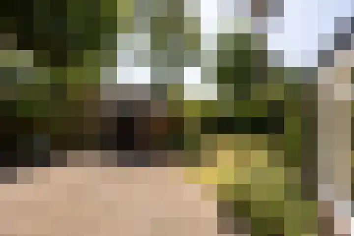 van Heeckerenlaan 7 Driebergen-Rijsenburg thumbnail 29