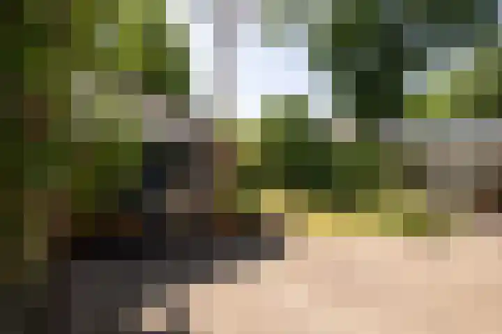 van Heeckerenlaan 7 Driebergen-Rijsenburg thumbnail 30
