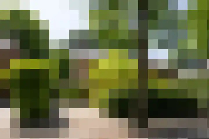 van Heeckerenlaan 7 Driebergen-Rijsenburg thumbnail 34