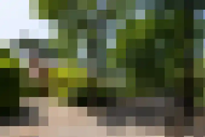 van Heeckerenlaan 7 Driebergen-Rijsenburg thumbnail 35