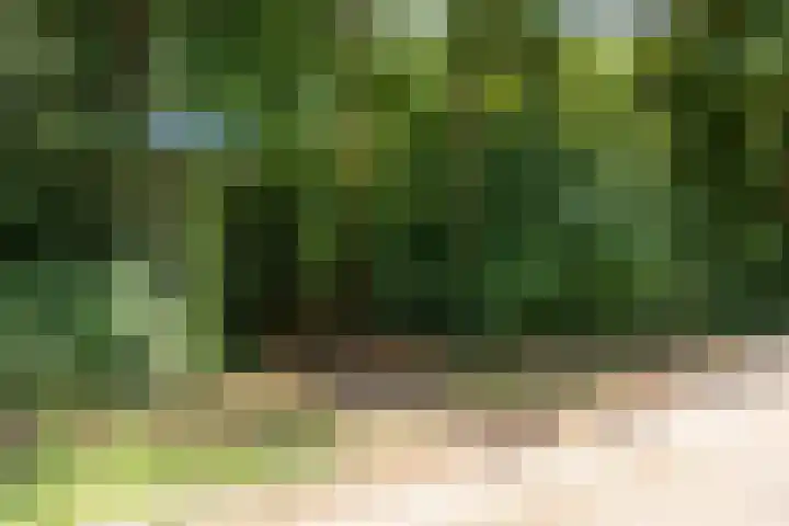 van Heeckerenlaan 7 Driebergen-Rijsenburg thumbnail 36