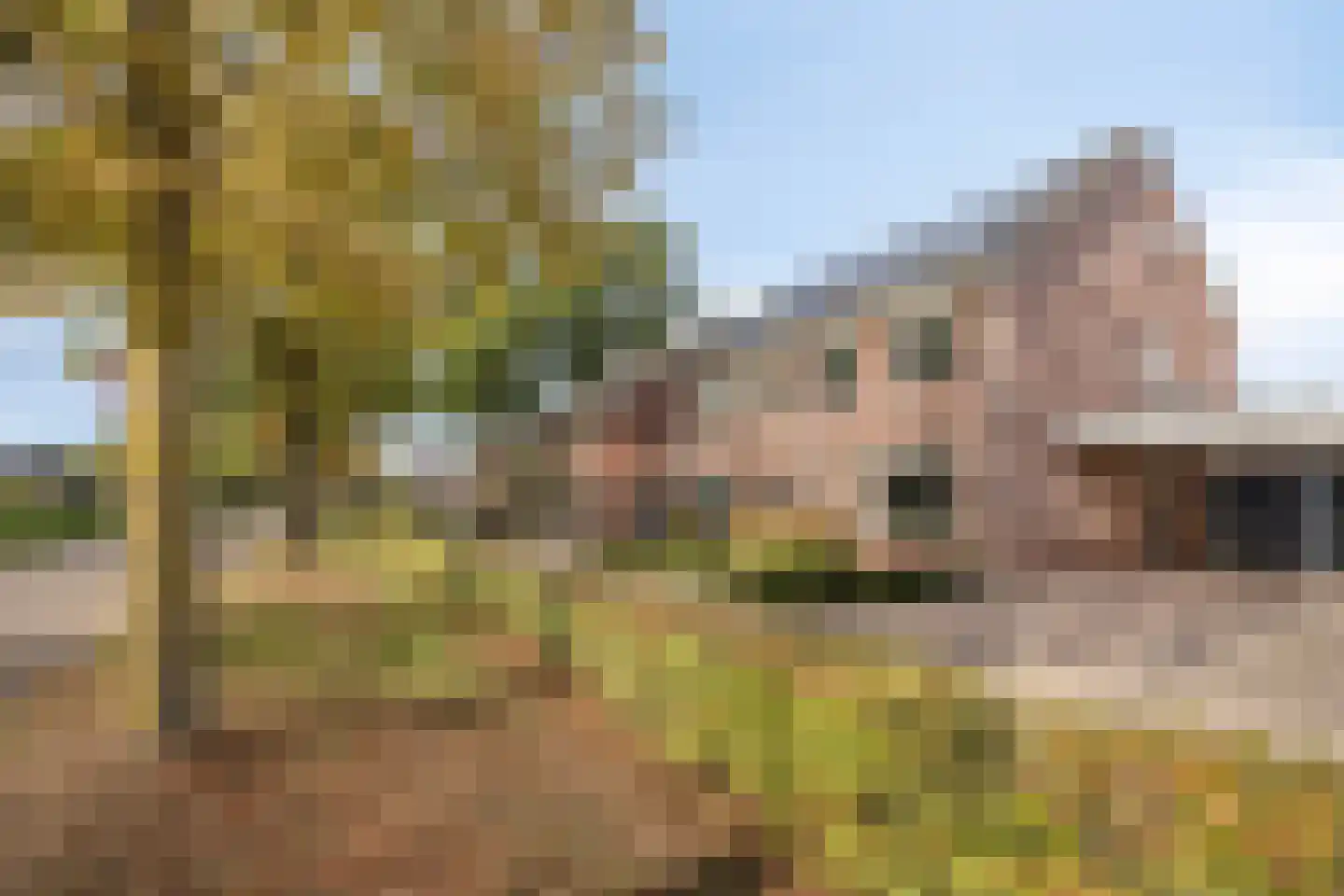 van Heeckerenweg 21 Goor thumbnail 12