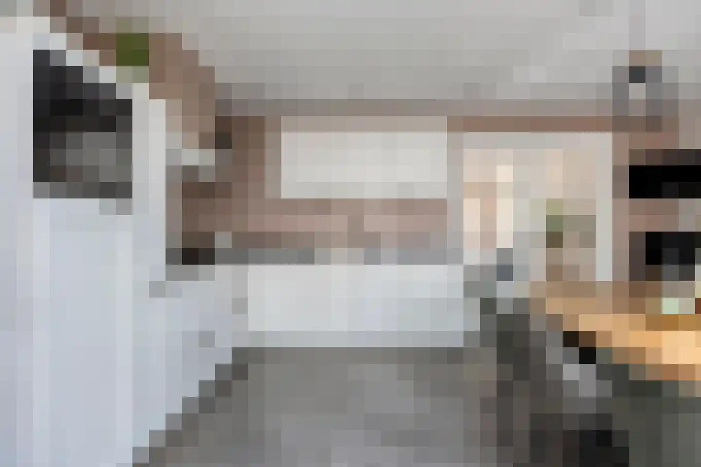 van Heeckerenweg 21 Goor thumbnail 23