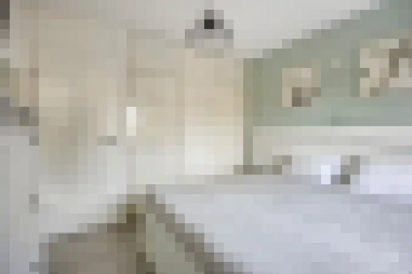 van Heeckerenweg 21 Goor thumbnail 32