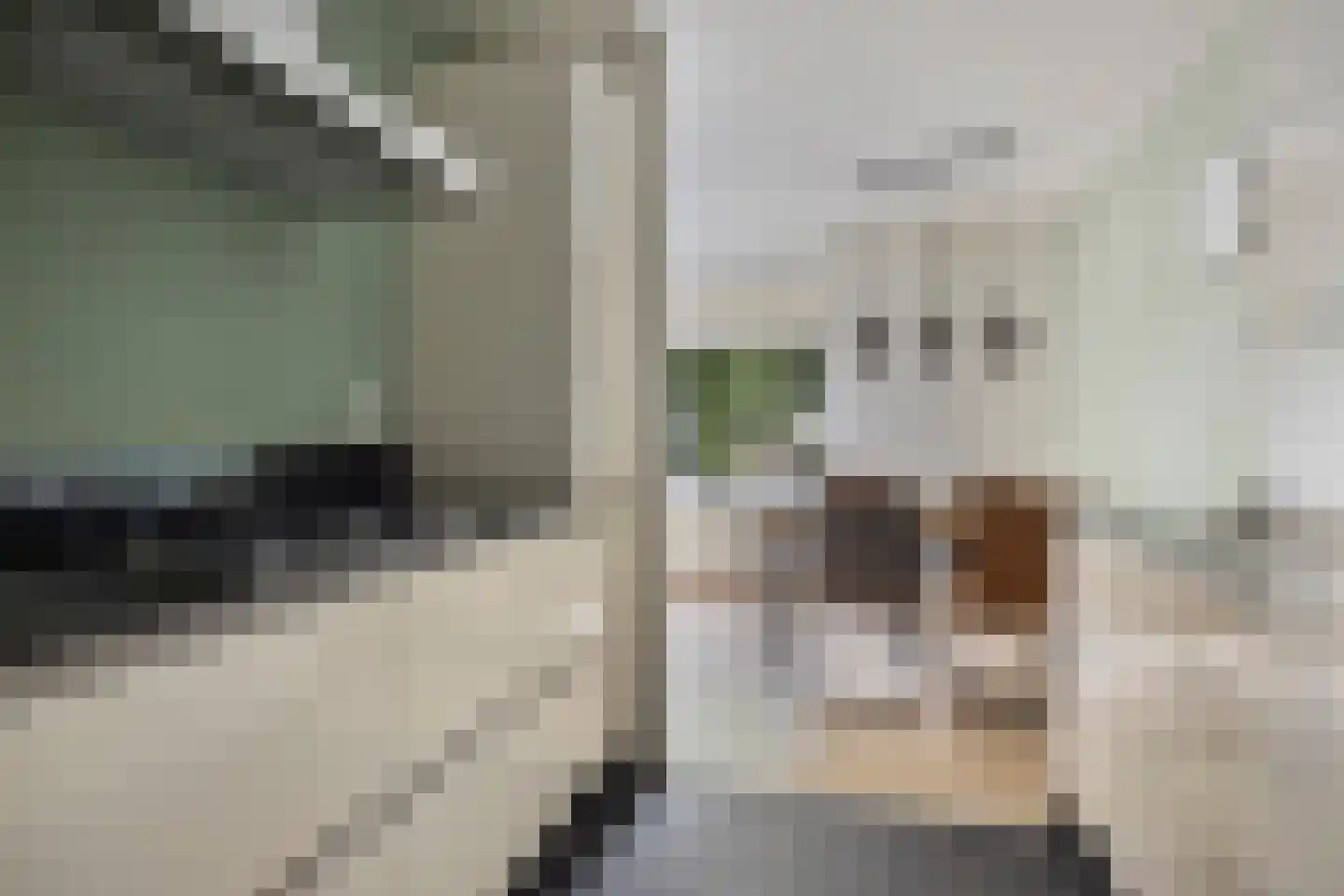 van Heeckerenweg 34 Goor thumbnail 14