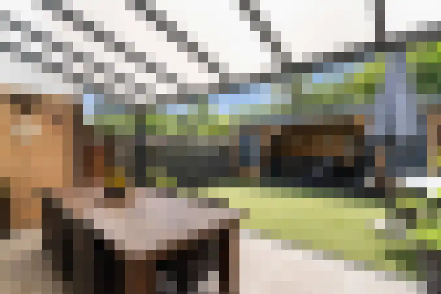 Van Heemskerckstraat 1 Weert thumbnail 5