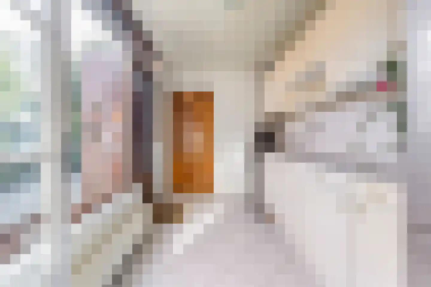 Van Heemskerckstraat 10 Bedum thumbnail 17