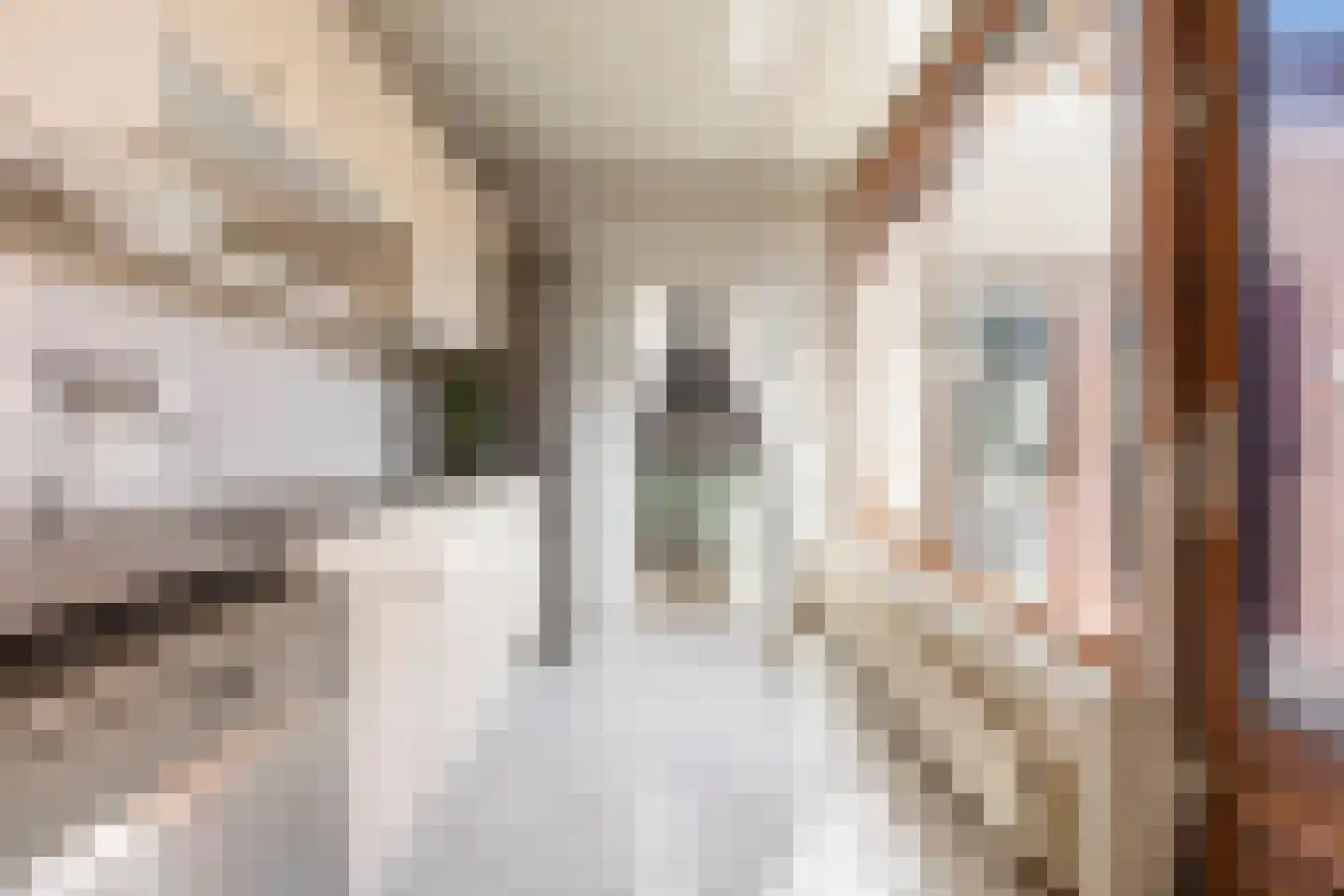 Van Heemskerckstraat 10 Bedum thumbnail 18