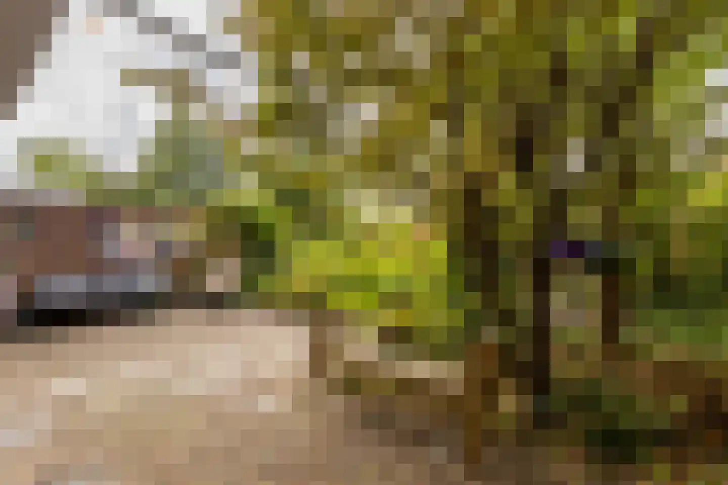 Van Heemskerckstraat 17 Groningen thumbnail 30