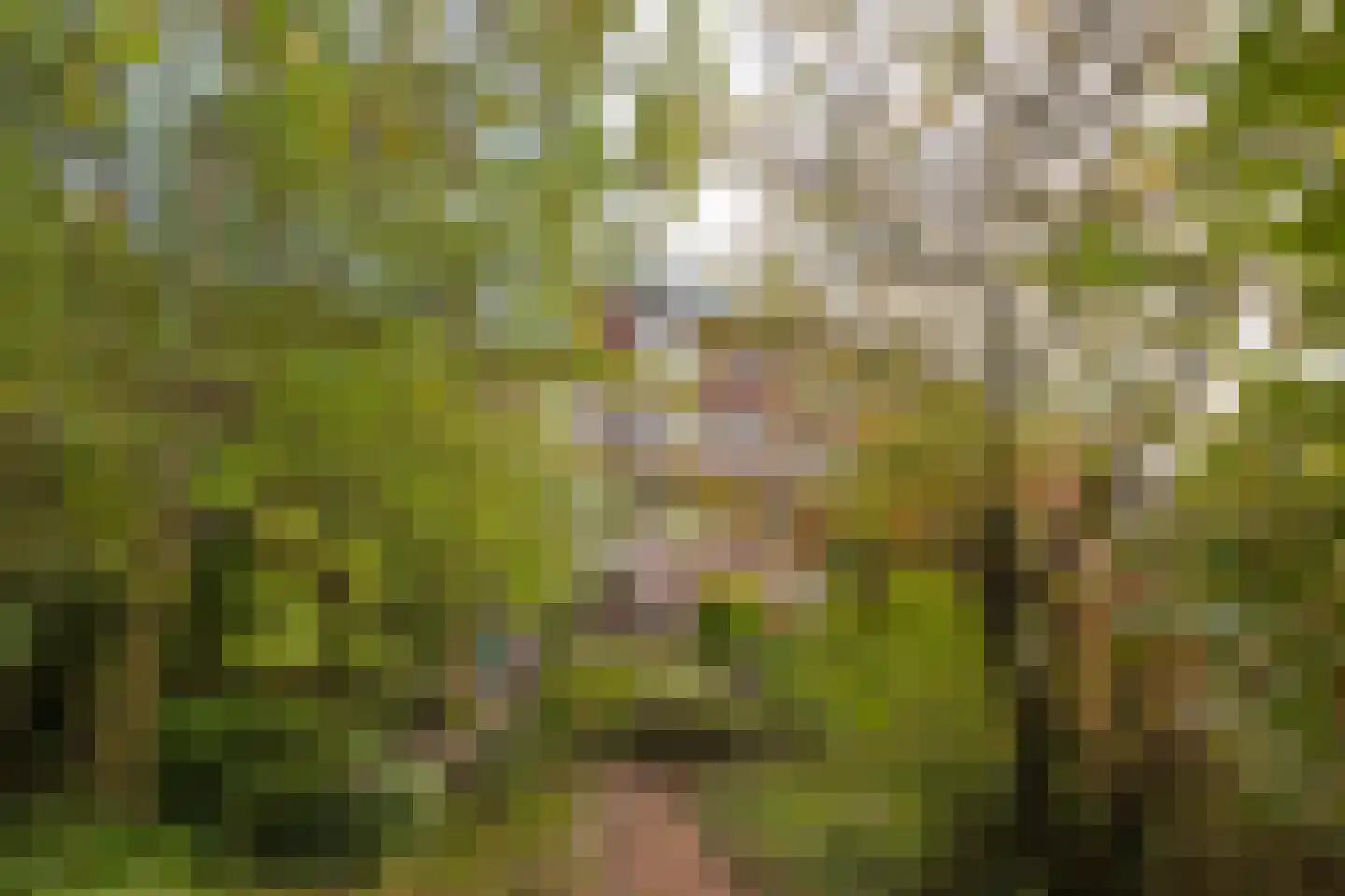 Van Heemskerckstraat 17 Groningen thumbnail 32