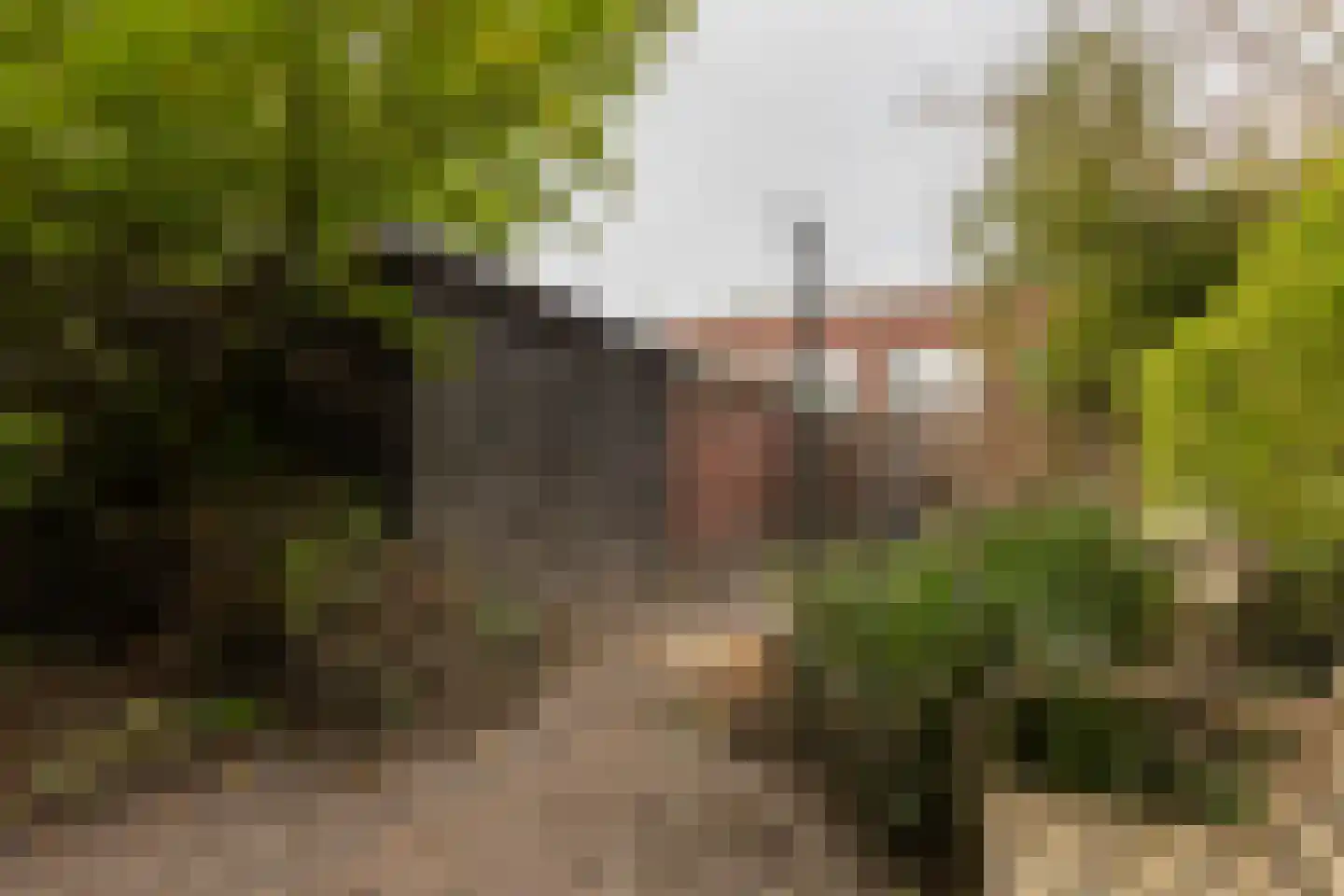 Van Heemskerckstraat 17 Groningen thumbnail 33