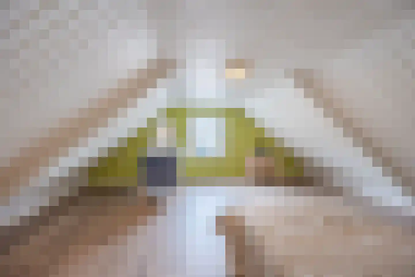 van Heemskerckstraat 19 Dinteloord thumbnail 10