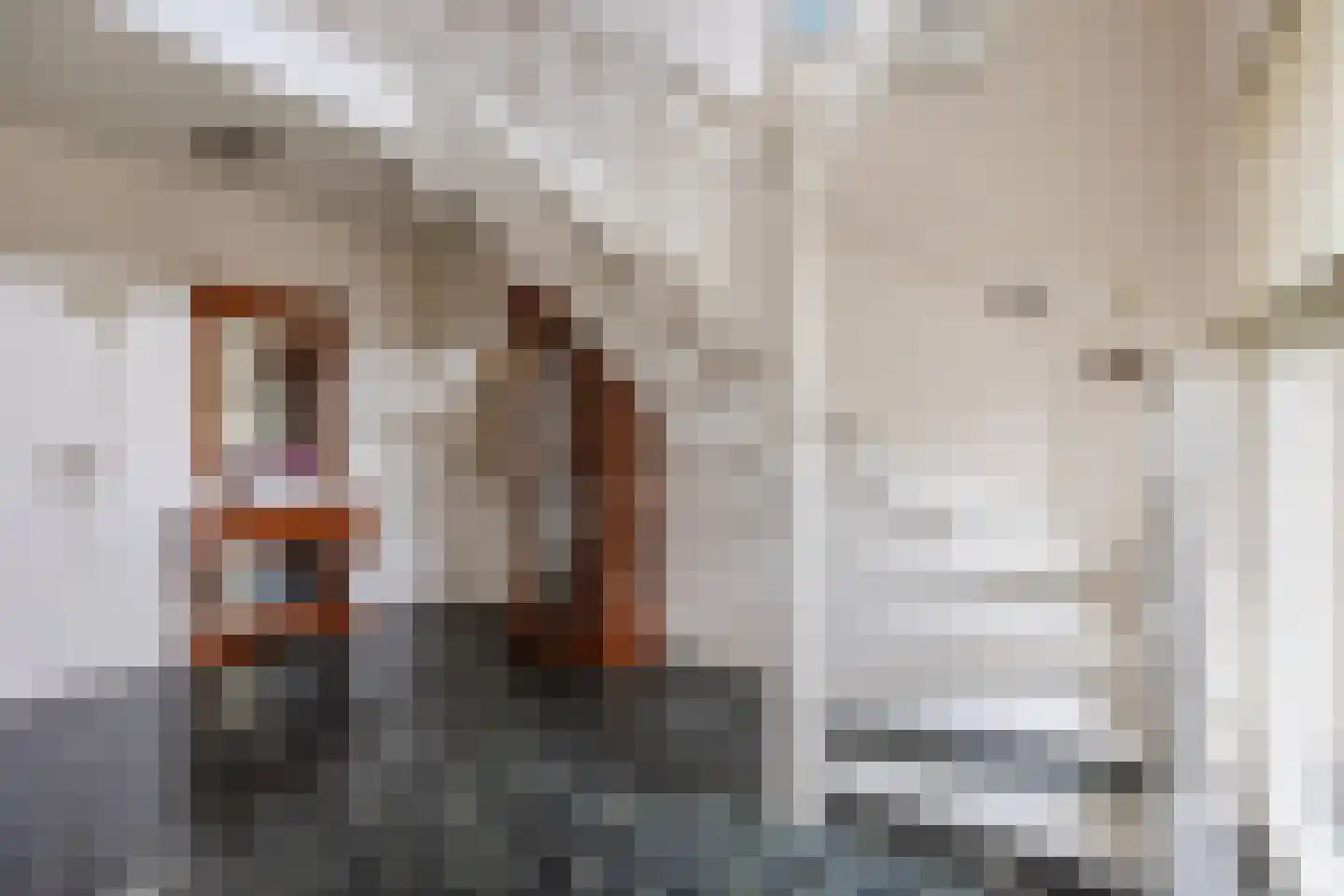 van Heemskerckstraat 19 Dinteloord thumbnail 22