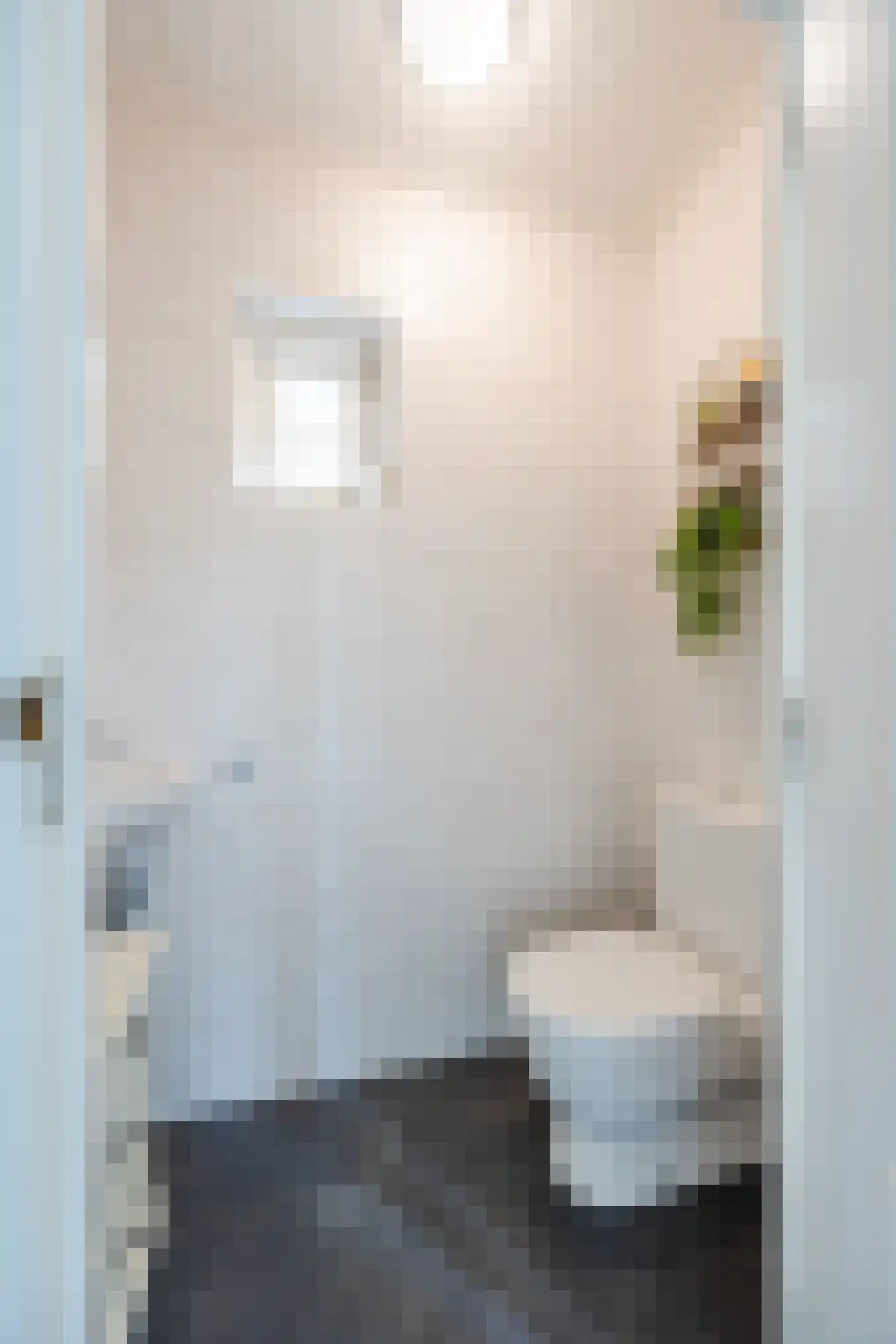 van Heemskerckstraat 19 Dinteloord thumbnail 25