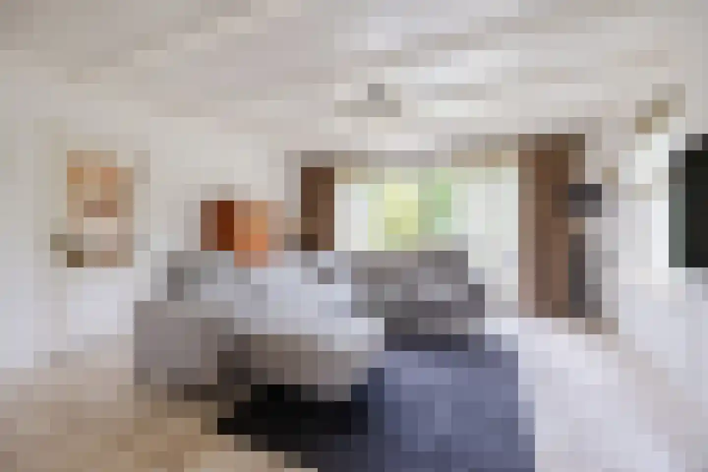 van Heemskerckstraat 19 Dinteloord thumbnail 26