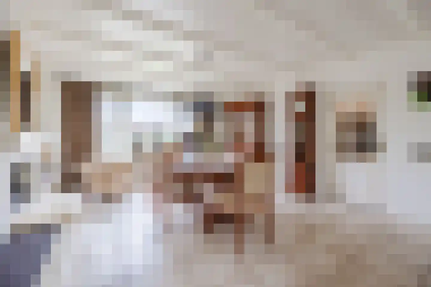 van Heemskerckstraat 19 Dinteloord thumbnail 29