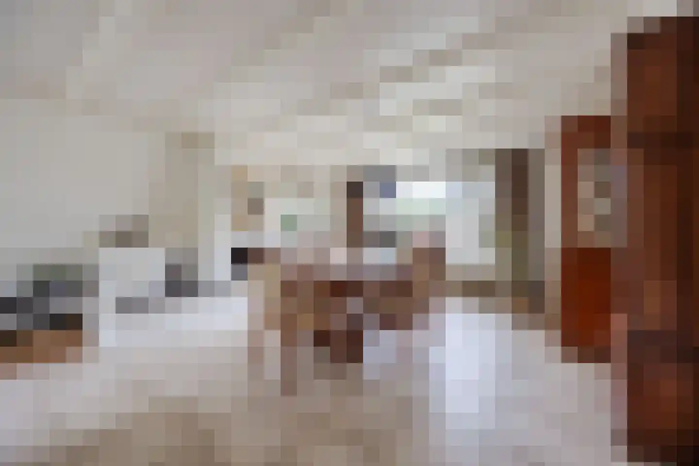 van Heemskerckstraat 19 Dinteloord thumbnail 32