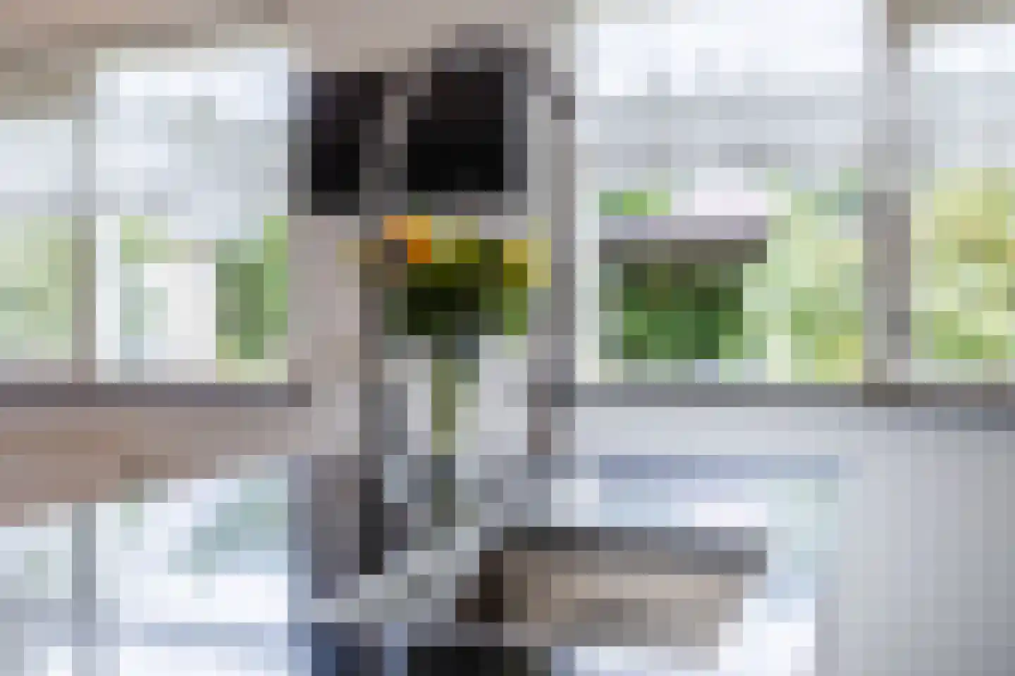 van Heemskerckstraat 19 Dinteloord thumbnail 36