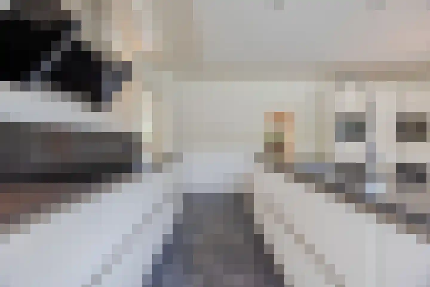 van Heemskerckstraat 19 Dinteloord thumbnail 37