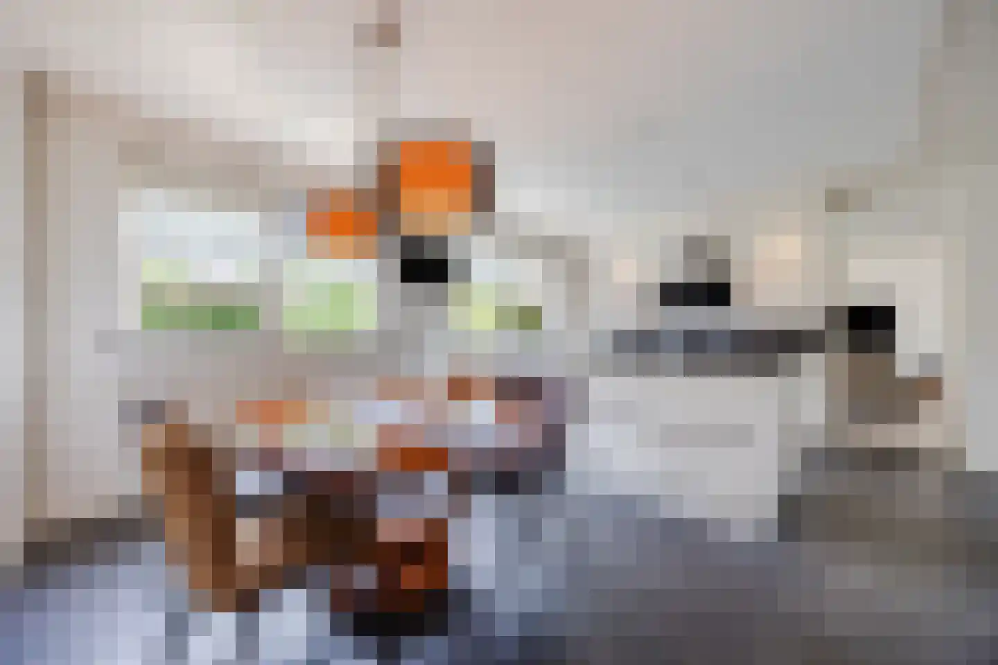 van Heemskerckstraat 19 Dinteloord thumbnail 39
