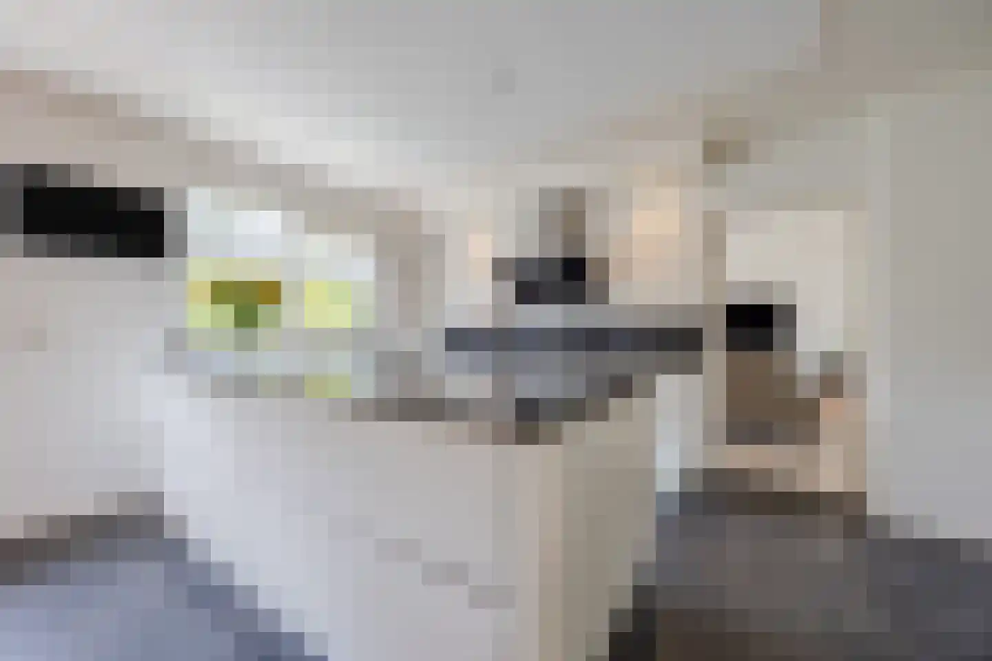 van Heemskerckstraat 19 Dinteloord thumbnail 40